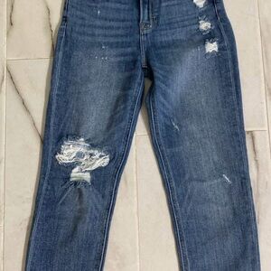 Hidden Classic Distressed Denim Skinny Jeans